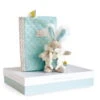 Doudou Et Compagnie - Lapin De Sucre Vert Amande Coffret Protège Carnet De Santé + Doudou