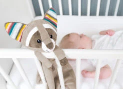 Zazu - Robin Le Raton Laveur - Doudou Musical Ou Bruit Blanc 50 Cm -Boutique De Poupées zazu2020robin20raton20laveur2020musical20ou20bruit20blanc205020cm 2